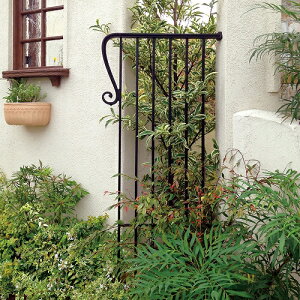 TChtFXACh^Cv fB[YK[f