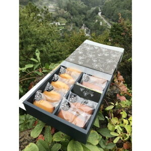 夢産地とさやま 生姜 フィナンシェ&ゆずマドレーヌセット 10個入 菓子 お菓子 おやつ 焼菓子 洋菓子 フィナンシェ 生姜 マドレーヌ ゆず 柚子 高知 高知県 お土産 贈り物