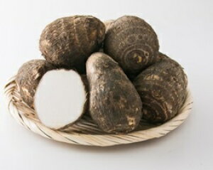 y\̔zyԌ̔zɗ\liƂjG 2L 10kg QYywł܂zb Ƃ    TgC ɗ\l Q Q