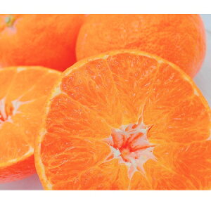 y\̔zyԌ̔z120菇@QY Õ Gipj 3L-LTCY 3kgitWAOt|Yj