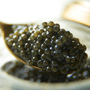 At @c LrA 20g ˔ | LrA `EU  EO咿