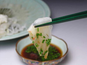 Ƃӂ hg 1lO×4M яX  YHi  hg tO gtO