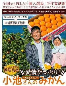 y\̔1210珇zr݂̂(승20) p LTCY 5kg Yn Q  ʕ ݂ ~J mikan (w肢˂܂)