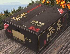 ̊ۂ݂ 5kg (SEMELTCŶꂩƂȂTCY͑Iׂ܂)QYiJAɂjb Mtg Ε ݂  ~J Ԍ  (M1)