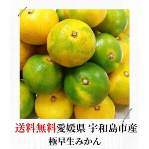 ݂ ɑ 5kg QY KiO 󂠂 p (M2)