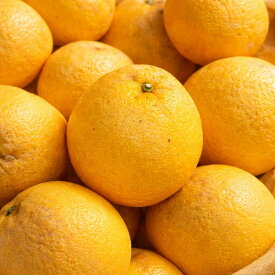【送料無料】愛媛県産 宇和ゴールド 訳あり 5kg 家庭用 柑橘 みかん グレープフルーツ風 不揃い サイズ混合 (M2)