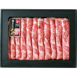  Ε Ε Mtg 蕨  v[g \[VMtgbLYa r[tA Ăԗp MG-02