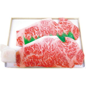  Ε Ε Mtg 蕨  v[g \[VMtgbݖ쑍{X _˃r[t[XXe[L KOB-07