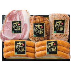  Ε Ε Mtg 蕨  v[g \[VMtgbQY QÂƂ؃nl AM-501