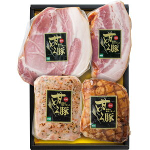  Ε Ε Mtg 蕨  v[g \[VMtgbQY QÂƂ؃nl AM-502