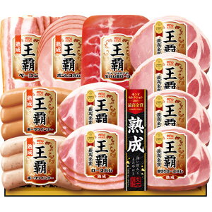  Ε Ε Mtg 蕨  v[g \[VMtgbۑHi eMtgZbg MO-500