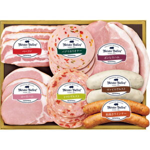  Ε Ε Mtg 蕨  v[g \[VMtgbv}n }CX^[o[Mtg MT-50C