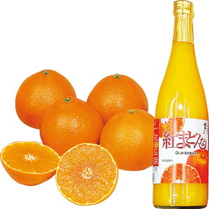  Ε Ε Mtg 蕨  v[g \[VMtgbQY QYg܂ǂ&g܂ǂȃW[XZbg