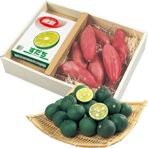  Ε Ε Mtg 蕨  v[g \[VMtgbY ȂƋƂ̃Zbg