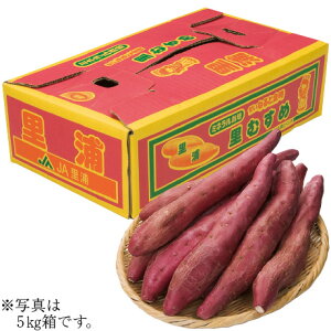  Ε Ε Mtg 蕨  v[g \[VMtgbYiJAYj ȂƋiނ߁j 3kg