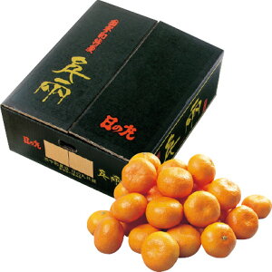  Ε Ε Mtg 蕨  v[g \[VMtgbQYiJAɂ̊ۋIj ̊ۂ݂ M`LE5kg