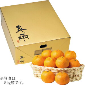  Ε Ε Mtg 蕨  v[g \[VMtgbQYiJAɂ̊ۋIj ̊ۃS[h݂ SE5kg