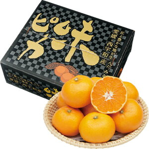  Ε Ε Mtg 蕨  v[g \[VMtgbQYiJAɂ㋤Ij sJ݂ ME5kg