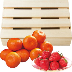  Ε Ε Mtg 蕨  v[g \[VMtgb쌧Y g݂ƂʂЂ߂̃Zbgiؔj