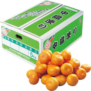  Ε Ε Mtg 蕨  v[g \[VMtgbQYiJAЂߒIj ݂iւj S`LE5kg