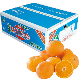  Ε Ε Mtg 蕨  v[g \[VMtgbQYiJAЂߒj ͂Ђ M`2LE5kg