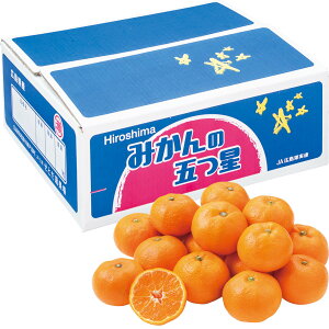  Ε Ε Mtg 蕨  v[g \[VMtgbLYiJAЂ낵 ƂIʏj ݂̌܂ S`LE5kg