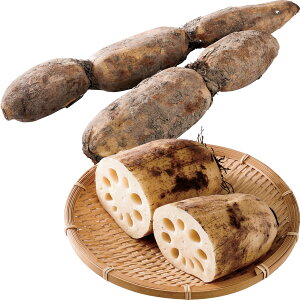 送料無料 お歳暮 御歳暮 ギフト 贈り物 贈答 プレゼント ソーシャルギフト|山口県岩国市尾津地区産 尾津白花れんこん 5kg