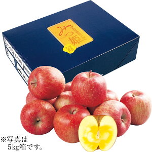  Ε Ε Mtg 蕨  v[g \[VMtgb茧YiJAĒj Tӂ񂲁i݂Pj 5kg