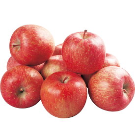 送料無料 お歳暮 御歳暮 ギフト 贈り物 贈答 プレゼント ソーシャルギフト｜岩手県産（JAいわて中央） サンふじりんご（じゅくまる） 3kg