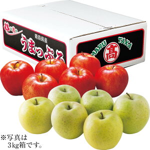 送料無料 お歳暮 御歳暮 ギフト 贈り物 贈答 プレゼント ソーシャルギフト|青森県産(高木商店) うまっぷるサンふじりんご&王林 5kg