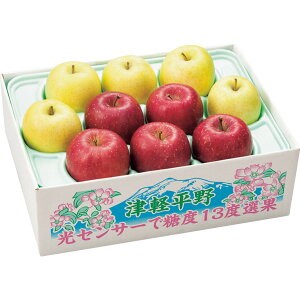 送料無料 お歳暮 御歳暮 ギフト 贈り物 贈答 プレゼント ソーシャルギフト|青森県産(キョーエイ) サンふじりんご&王林詰合せ 2.5kg