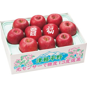 送料無料 お歳暮 御歳暮 ギフト 贈り物 贈答 プレゼント ソーシャルギフト|青森県産(キョーエイ) 招福りんご(サンふじりんご) 2.5kg