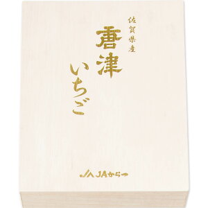 送料無料 お歳暮 御歳暮 ギフト 贈り物 贈答 プレゼント ソーシャルギフト|佐賀県産 いちごさん