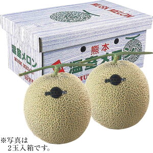 送料無料 お歳暮 御歳暮 ギフト 贈り物 贈答 プレゼント ソーシャルギフト|熊本県産 アールスメロン 1玉