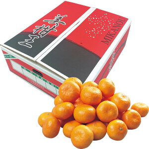  Ε Ε Mtg 蕨  v[g \[VMtgbQYiJAЂߓj  S`LE5kg