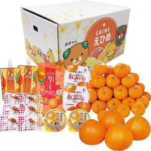  Ε Ε Mtg 蕨  v[g \[VMtgbQӂ邳ƃZbg