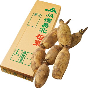 送料無料 お歳暮 御歳暮 ギフト 贈り物 贈答 プレゼント ソーシャルギフト|徳島県産 洗いれんこん 2kg