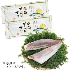  Ε Ε Mtg 蕨  v[g \[VMtgbQY 舤S[h