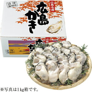  Ε Ε Mtg 蕨  v[g \[VMtgbL`Y Hpނg 1kg