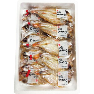  Ε Ε Mtg 蕨  v[g \[VMtgb{cX Ƃ|̂ǂl