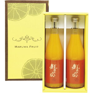  Ε Ε Mtg 蕨  v[g \[VMtgb}t[c| g܂ǂȃW[XiXg[gj2{Zbg