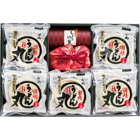 送料無料 お歳暮 御歳暮 ギフト 贈り物 贈答 プレゼント ソーシャルギフト｜石丸製麺 国産半生讃岐うどん「うどん丸」 UG-5
