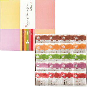送料無料 お歳暮 御歳暮 ギフト 贈り物 贈答 プレゼント ソーシャルギフト|藤い屋 もみじまんじゅう 5種詰合せ20個入