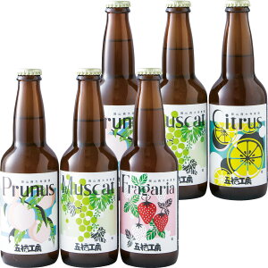  Ε Ε Mtg 蕨  v[g \[VMtgbܕH[ R厛ܕH[t[cr[6{Zbg