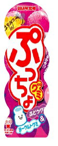 o ՂO~ Ԃǂ 40g ܂Ƃߔ(×10)|0000049433050(tc)(423080)