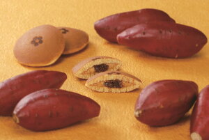 yԌ̔zyԌ̔z(2jn^_ ǂ ĈJX^[h 5 | ǂ₫ ǂ Ĉ ₫ ͂ ǂ炢 c