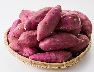 Y 5kg LTCY(wł܂) | Tc}C ܂ ܈  ȂƂƂ