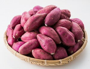 Y 5kg STCY(wł܂) | Tc}C ܂ ܈  ȂƂƂ