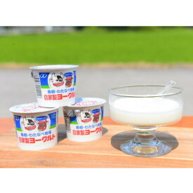 ヨーグルト 100g×12個 自家製ヨーグルト (有限会社 わたなべ牧場)| ヨーグルト 自家製 手作り 乳製品