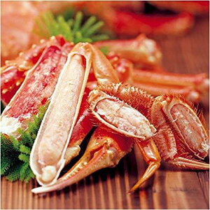 {C킢Ƀn[t|[V 400g(wł܂)  Jj I  䥂ŃJj I  CY   {C YCKj